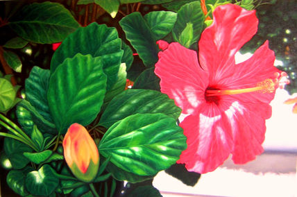 Flora urbana i