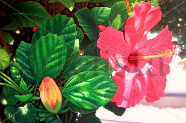 FLORA URBANA I