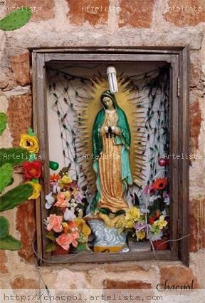 Guadalupe 015