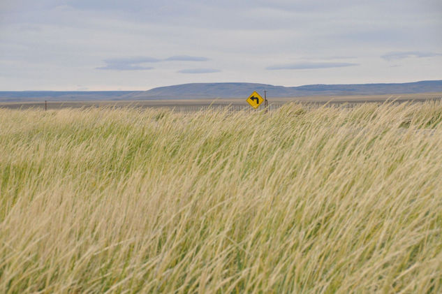 Mi amigo el viento Naturaleza Color (Química)