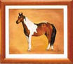 retrato caballo