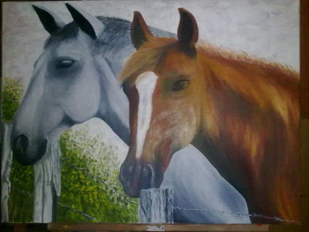 caballos Oil Canvas Animals