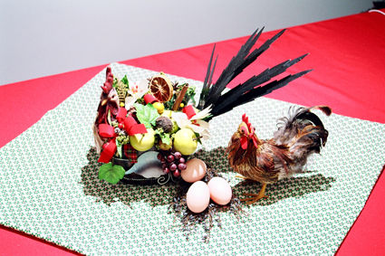 LA GALLINA Y EL GALLO ;