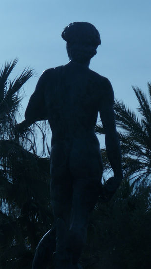 David. Sculpture in Bronze Travel Color (Digital)