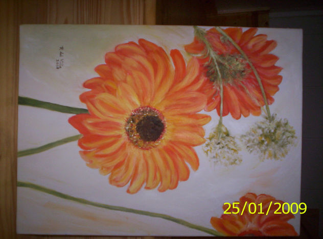 dalia 3
