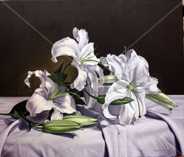 lirios blancos