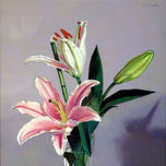 FLORES thumbnail 2
