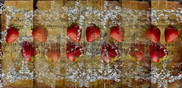 Semillas de Fresas / Strawberries Seeds