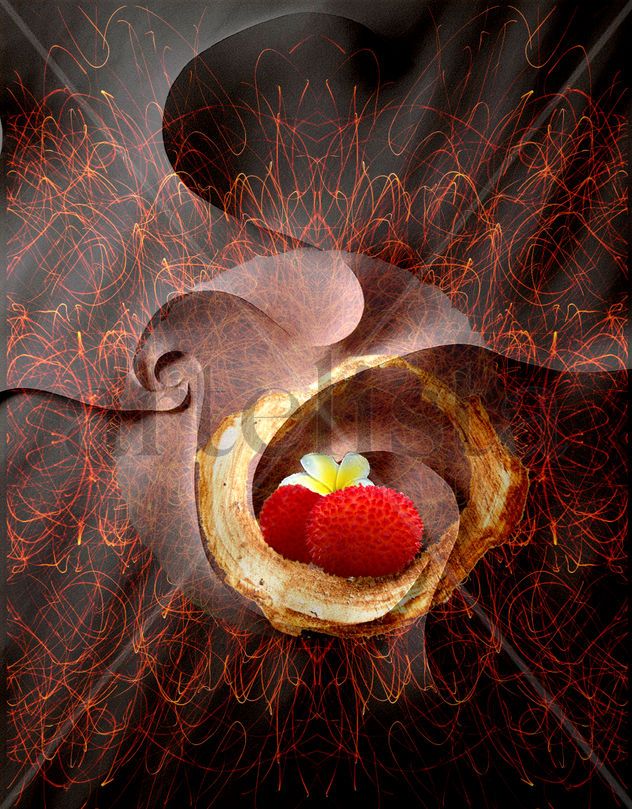 Semillas de Madroño / Strawberry Tree Seeds