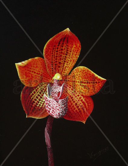 30-ORQUÍDEA Oil Panel Floral Painting