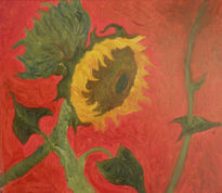 Girasol en rojo