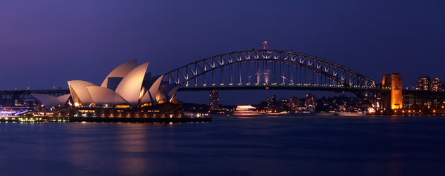 Harbour Nights