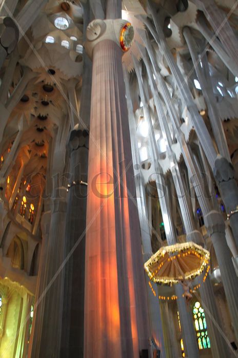 Març 2012 Marc Sagrada