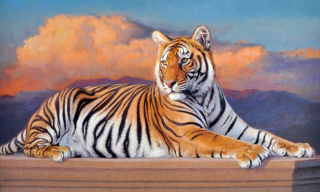 Animales