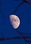 Luna Creciente