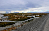 Bañado patagónico