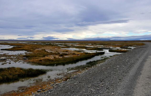 Bañado patagónico Naturaleza Color (Química)