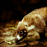 paisajes thumbnail 2