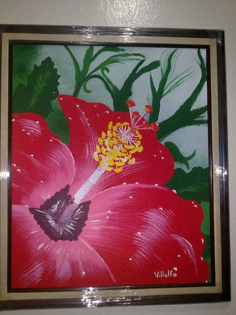 Amapolas