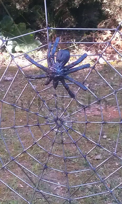 Araña