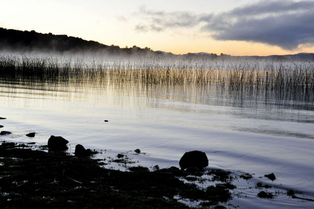 Quietud Naturaleza Color (Química)