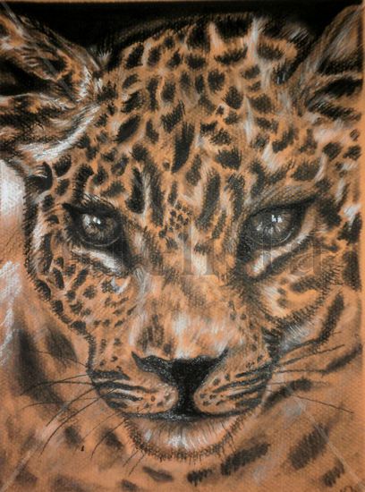 Leopardo Charcoal