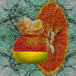 Semillas / Seeds thumbnail 1