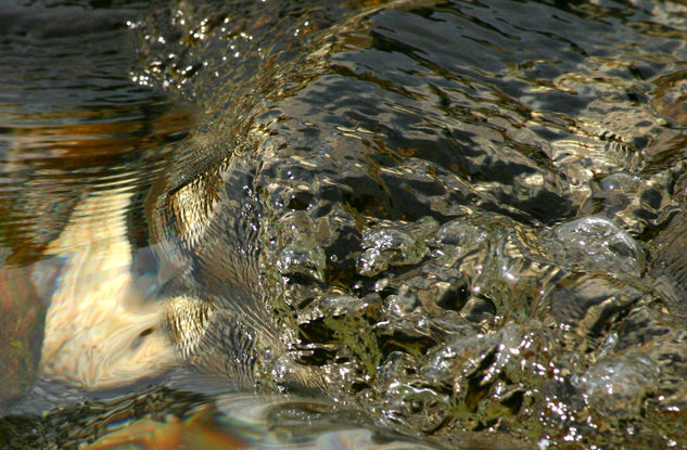 Wave and Light - River Jache -4- Naturaleza Color (Digital)