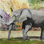 cuadros animales thumbnail 1
