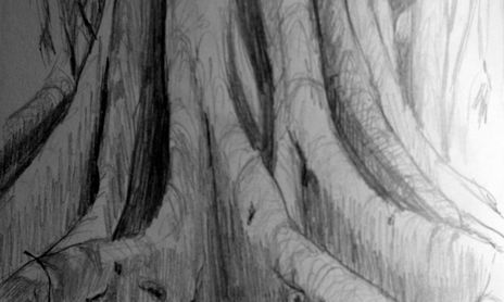 dibujo