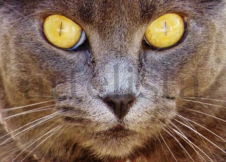 Otra mirada