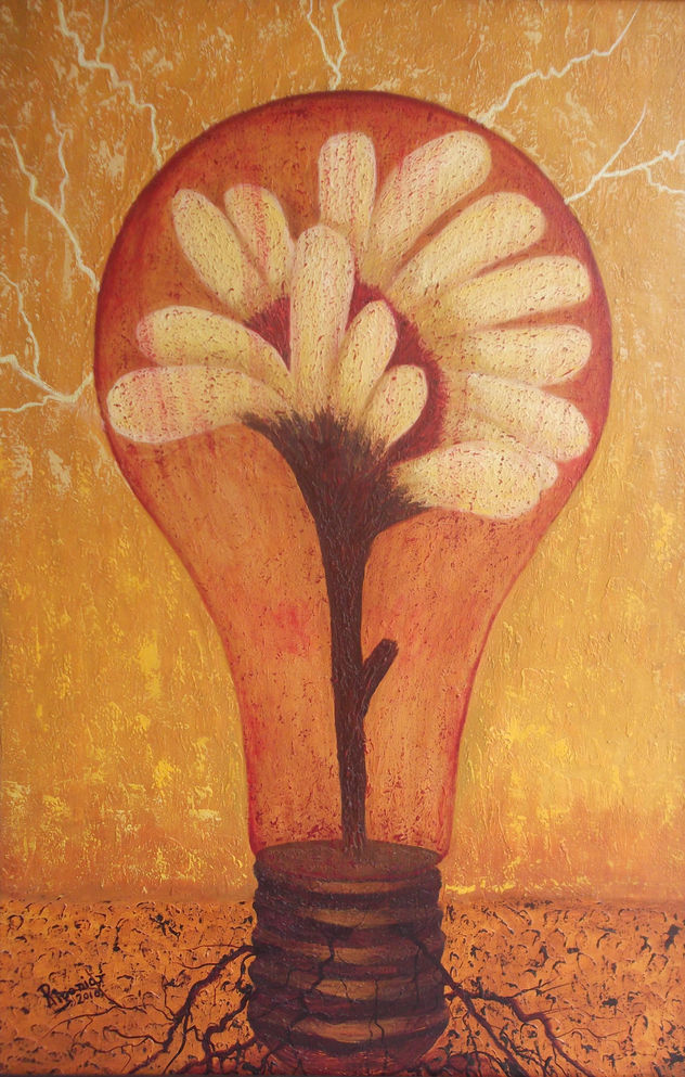 LUZ Y GRACIA