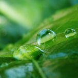 Naturaleza thumbnail 1