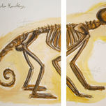 Anatomy thumbnail 1
