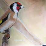 Animales thumbnail 2