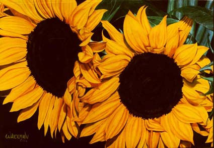 girasoles Oil Canvas Floral Painting