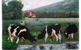 paisaje de sabana