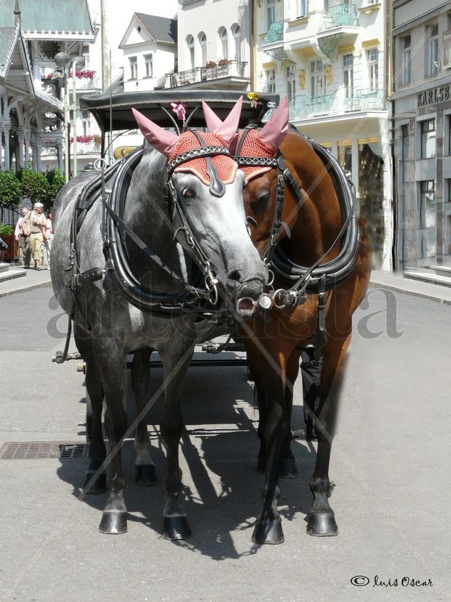 Pareja
