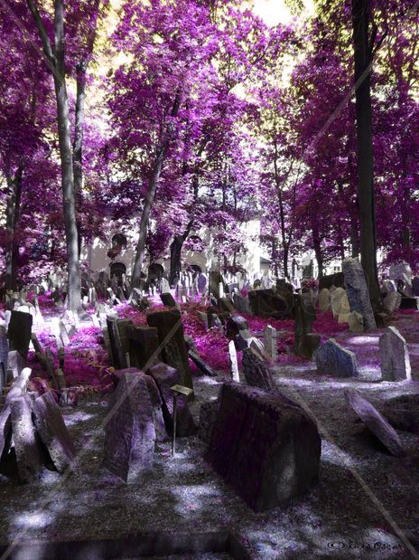 Cementerio Rubi