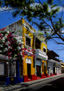 TRINITARIAS EN LA "CALLE  GRANDE"