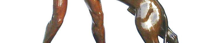 Imagen de portada