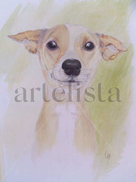 Perrita cruzada