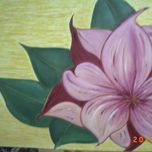 NATURALEZA thumbnail 2