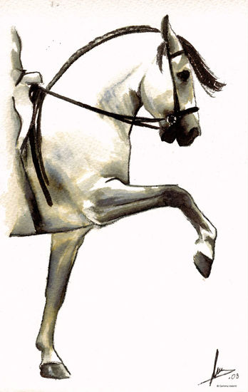 Caballo español 3 Ink