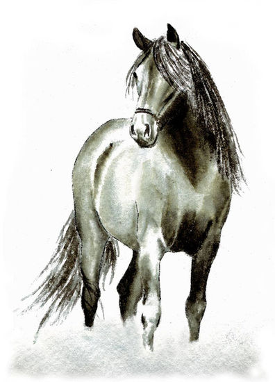 Caballo español 1 Ink