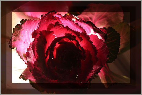 Floralia...