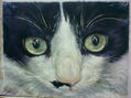 MOKO I