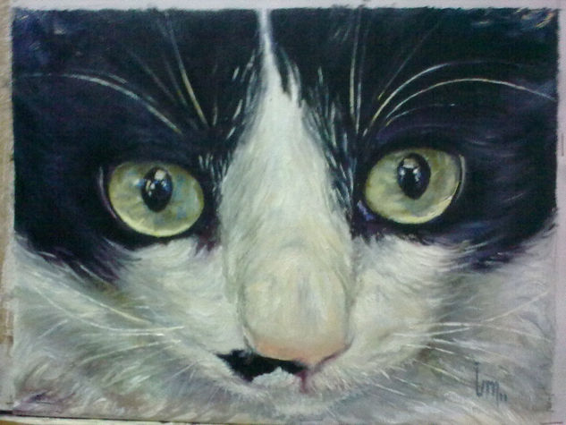 MOKO I Oil Canvas Animals