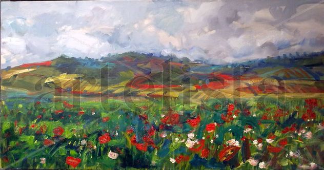 CAMPOS DE CASTILLA I