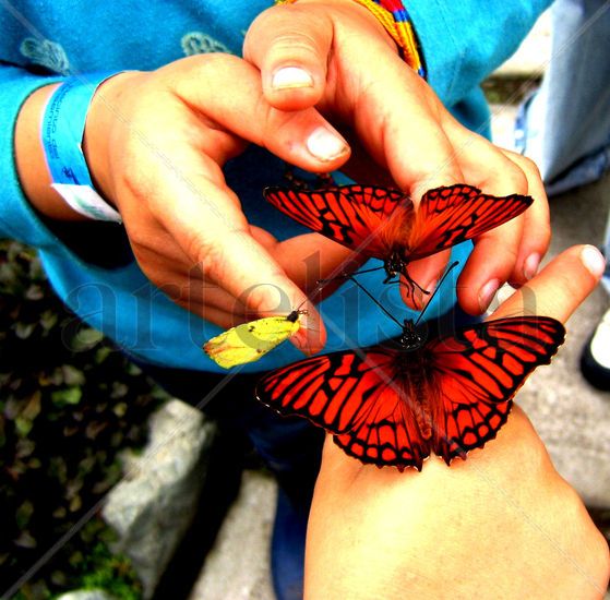 mariposas en las manos de los niños. Nature Color (Digital)